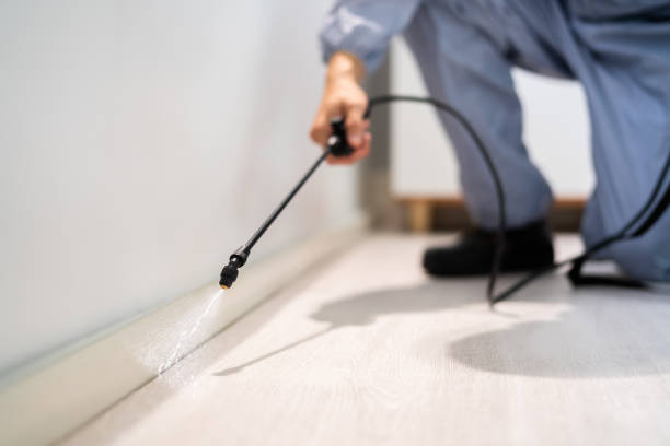 Licensed Exterminator service in New Madison, OH - Show Me Pest Control
